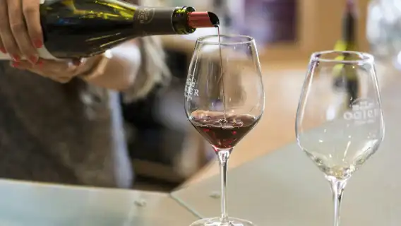 Wine tour in Cezanne countryside from Aix en Provence