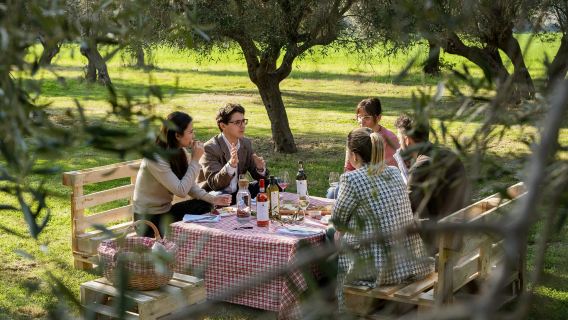 Mazzarosa Winery: Country Picnic in the Olive Grove
