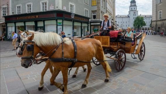 Salzburg and the Lake District: Day Trip from Munich