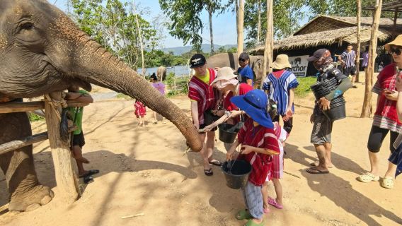 중국어/영어 가능 가이드와 함께하는 8시간 전세 차량 투어 | 까론 해변 + 클리프 카페 + 푸켓 올드타운 + 엘리펀트 캠프