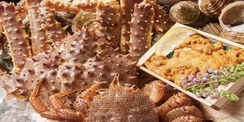 【產地直送 精緻居酒屋 別邸南4條店】【僅限預約】 盡享北海道美食套餐 餐券三選一
