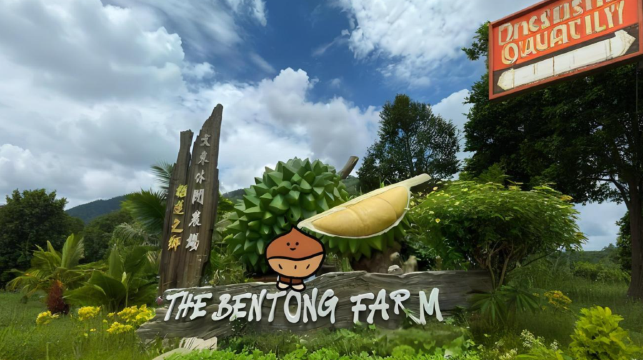 吉隆坡周邊打卡一日遊 巴生港文冬波德申藍色清真寺粉紅清真寺