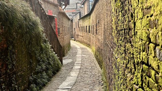 Jingdezhen: Taoyangli Historical and Cultural Tourism Area + China Ceramics Museum + guide/ Private car tour