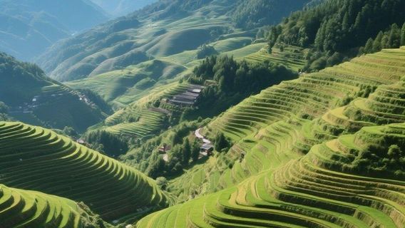 陽朔旅行服務