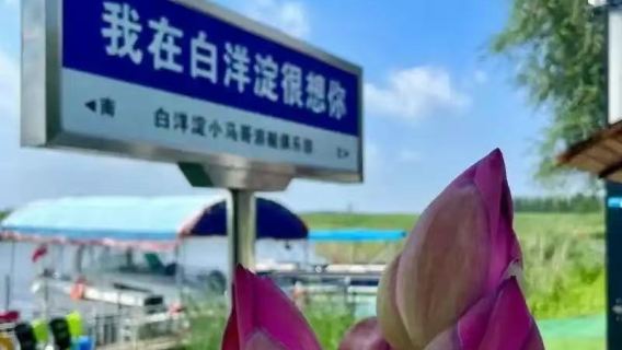 邢台出發白洋淀+冉莊地道戰一日遊