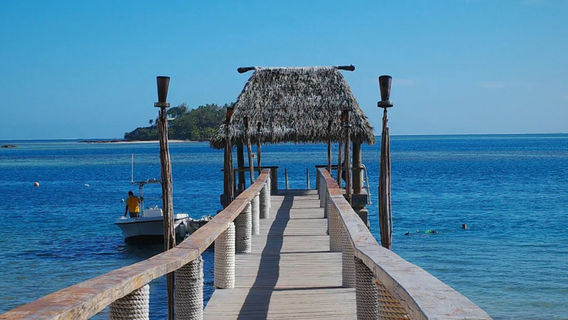Malolo IslandTours