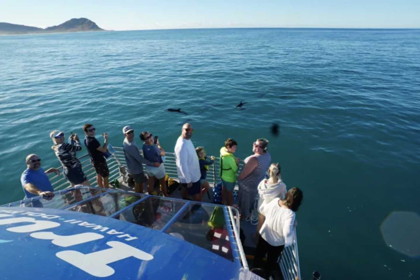 3-HOURS WAIANAE DOLPHIN WATCH & SNORKEL with WATER ACTIVITIES