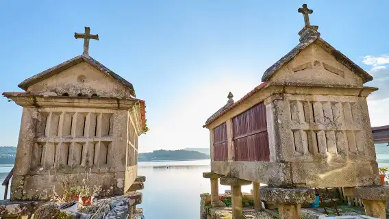 1-day tour from San Diego to Baja California: winery tasting + seafood cruise + Ensenada fishing village