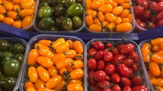 Rome Food Tour by the Vatican City with Fine Wine