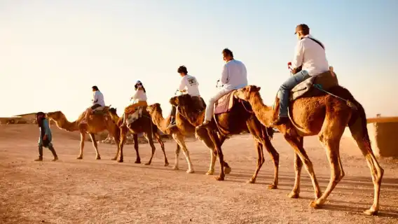 มาร์ราเกช: ขี่อูฐอากาเฟย์ ชมพระอาทิตย์ตกดินและรับประทานอาหารค่ำพร้อมชมการแสดง