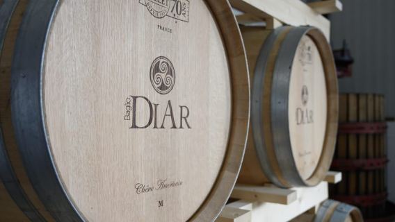 Tham quan nhà máy rượu và nếm thử rượu vang hữu cơ Sicilia ở Marsala