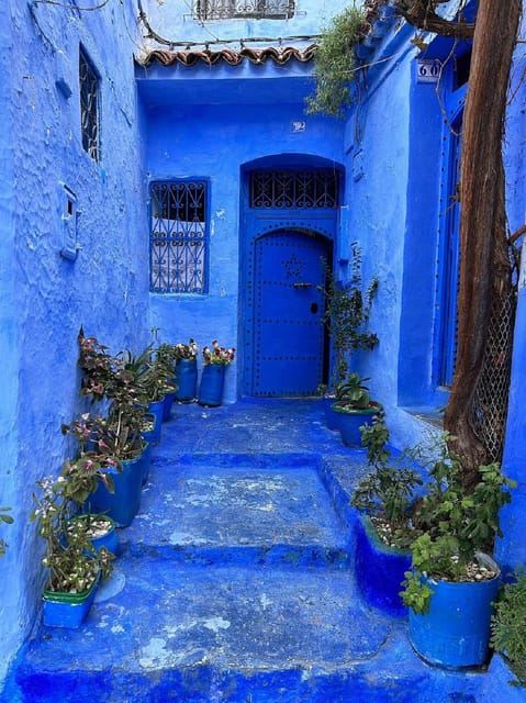 Tagesausflug von Fes nach Chefchaouen, mehrsprachig (EN/FR/ES/IT/AR)