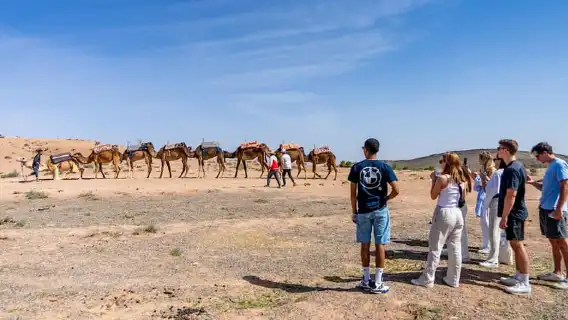 จากเมืองมาร์ราเกช: ทัวร์ชมพระอาทิตย์ตกที่อากาเฟย์พร้อมอาหารค่ำและการแสดง