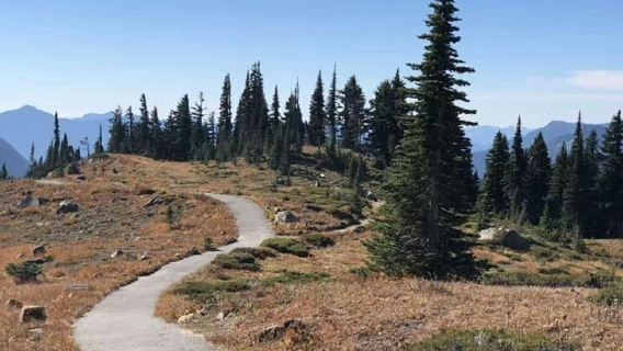 Ab Seattle: Tagestour zum Mount Rainier Nationalpark