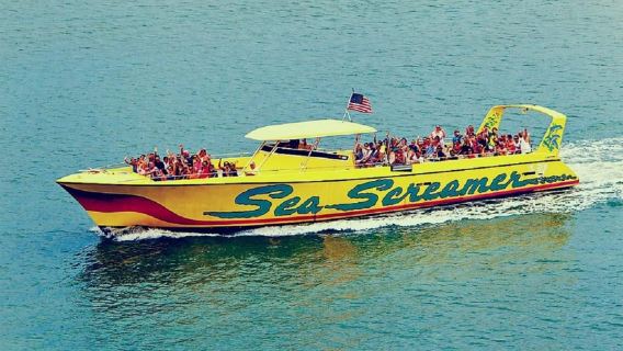 Tour per piccoli gruppi a Clearwater Beach e avvistamento delfini da Orlando