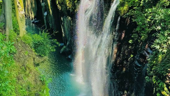 Miyazaki in 1-Day: Shirakawa Spring, Takachiho Gorge & Amano Iwato Shrine with Lunch