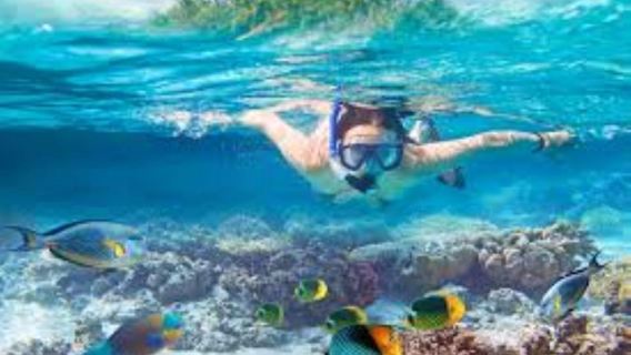 Mancora: Swimming and bathing with turtles