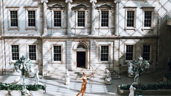 Visita guidata esclusiva del Metropolitan Museum of Art "The Met"