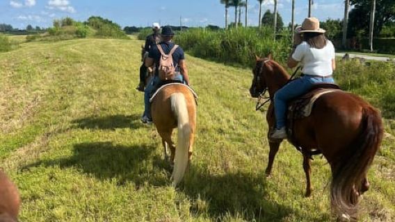Miami: Tour guiado a caballo