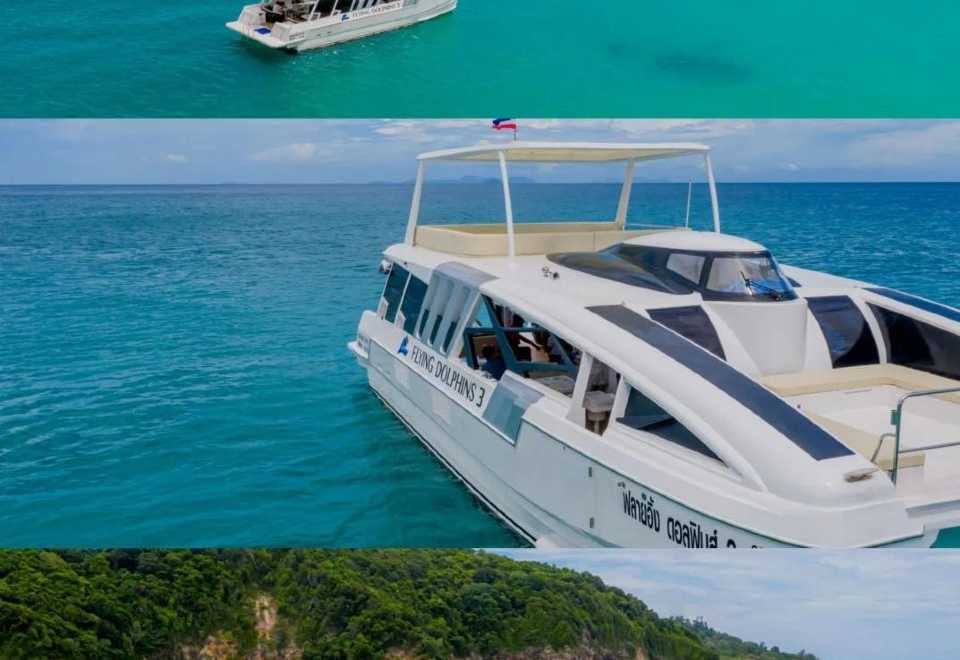 Dolphin Luxury Yacht Charter in Phuket - Celebrity Favorite