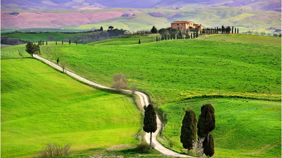 Excursión de un día al Valle de Orcia desde Florencia
