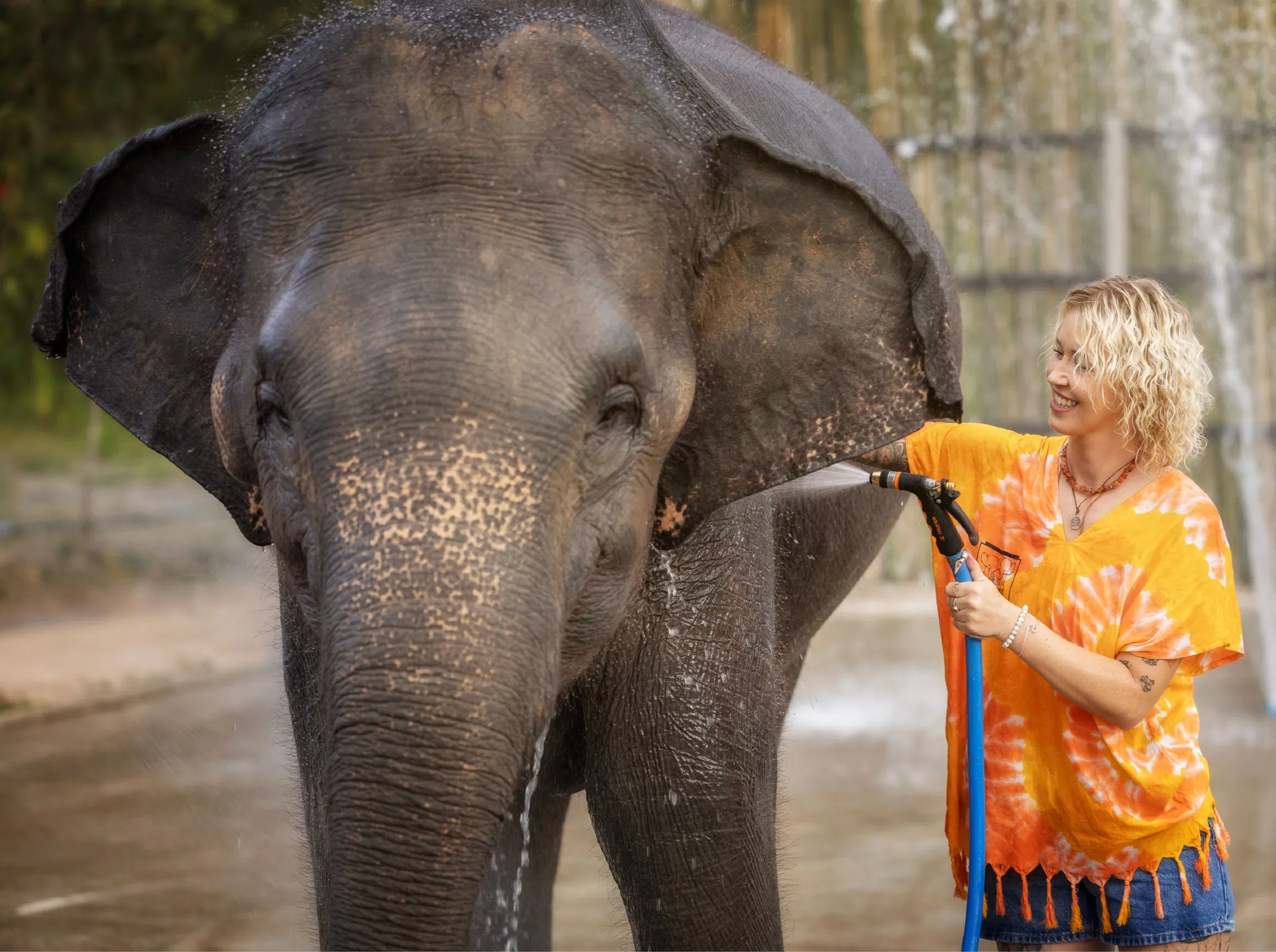 Chiang Mai Elephant Jungle Sanctuary (Canyon Branch) Half Day Tour, Thailand