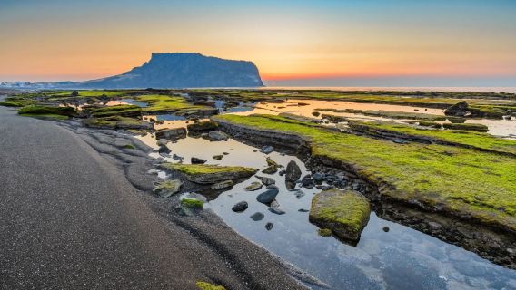 Jeju Island, Südkorea: Tagesausflug mit Fahrgemeinschaft [Udo + Seongsan Ilchulbong, Fahrzeugtransport auf die Insel möglich]