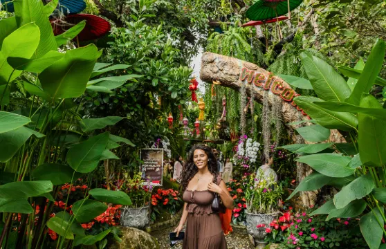 清萊寺廟一日遊連Lalita Cafe(拉麗塔咖啡廳)參觀(清邁出發)