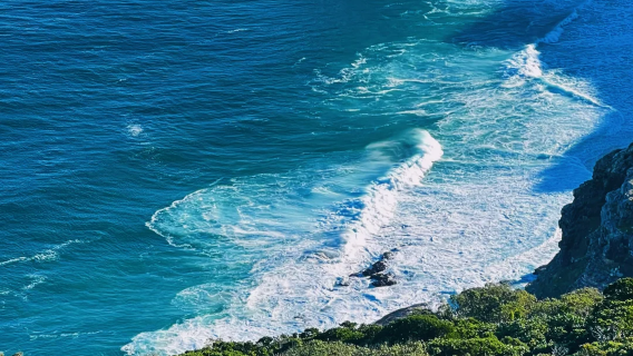 Full-day Cape of Good Hope and Boulders Penguin tour from Cape Town