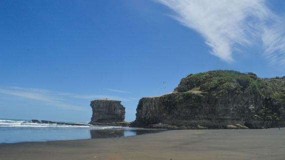 紐西蘭·奧克蘭鳥島+黑沙海灘+凱利塔頓海底世界一日遊