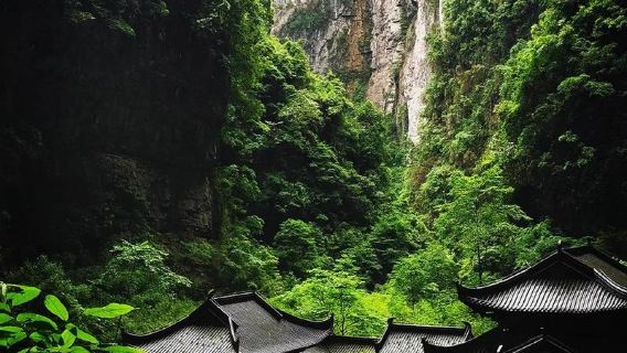 Discovery more Chongqing Wulong  national park by Private guide tour