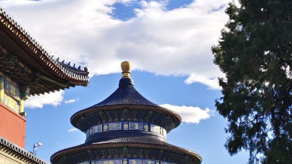 Excursion d'une demi-journée au Temple du ciel de Pékin [incluant des billets combinés avec options en chinois, anglais et autres langues]