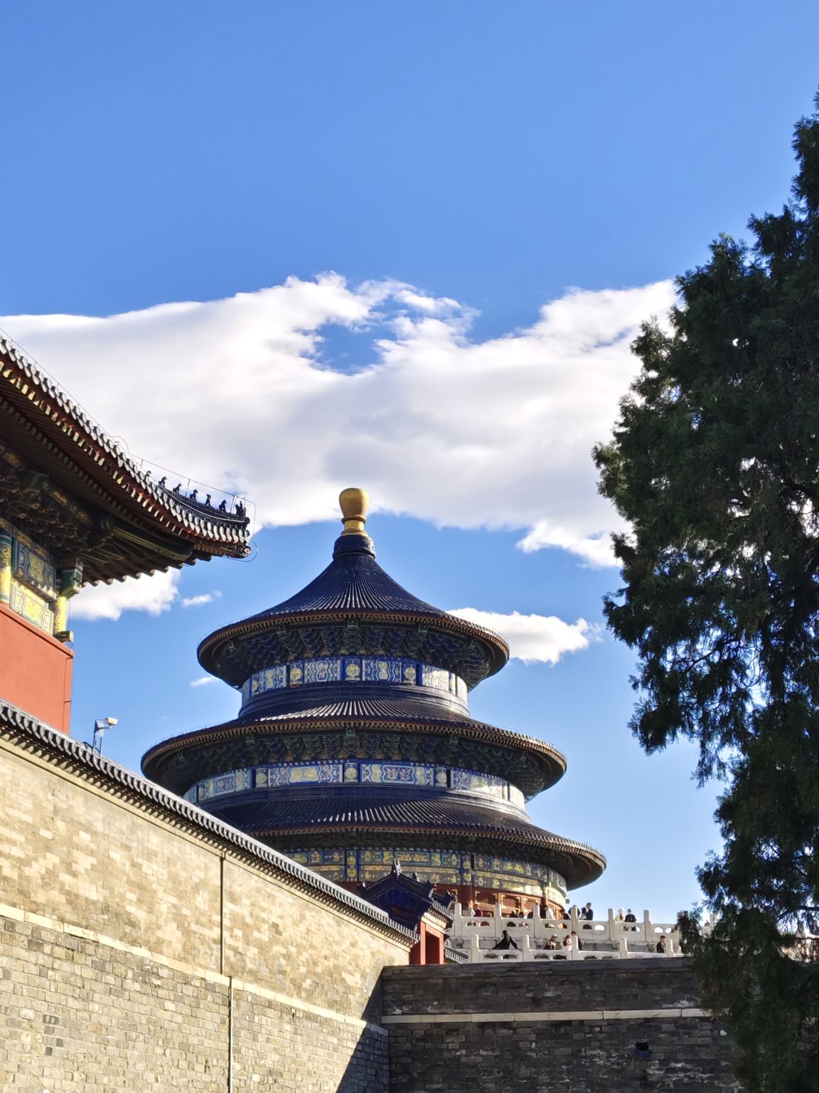 Beijing Temple of Heaven Half-Day Tour [Combined Ticket Available in Chinese, English, and Multilingual Packages]