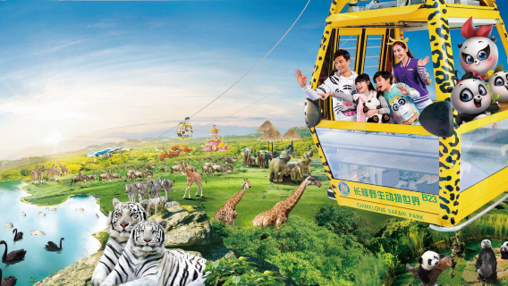 Guangzhou Chimelong Panda/Chimelong/Xiangjiang/1 noche 2 días/2 noches 3 días con acceso ilimitado + Mundo de los Animales + Mundo de la Alegría + Mundo de las Aves, opcional entre Gran Circo o paquete con buffet