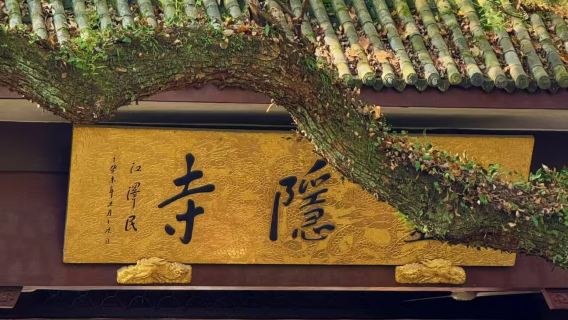 [Zen e tè sono una cosa sola] Tour di un giorno a Hangzhou: Picco Feilai del Tempio Lingyin + Raccolta e degustazione del tè nel Villaggio Longjing