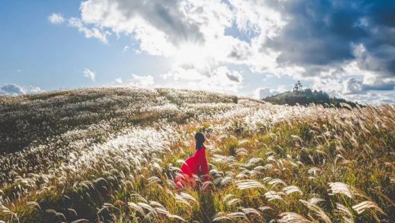 โอซากะออกเดินทาง: ทัวร์ 1 วันสวนโมมิจิดานิ + สวนบันโช + ที่ราบสูงโออิชิ + อุทยานทางทะเลชิราซากิ