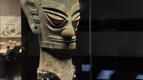 Tour di un giorno al Museo di Chengdu, al Museo della Pagoda di Du Fu, al Tempio Qingyang e al Quartiere Wenshu con servizio in inglese