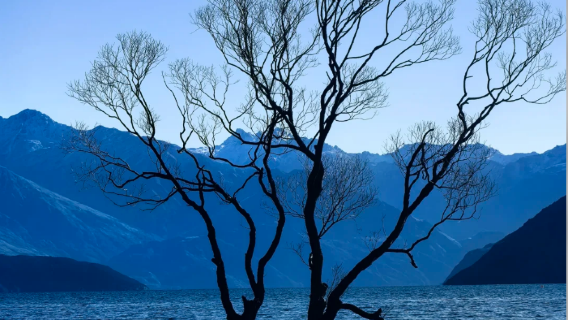 Lawatan Sehari di Pulau Selatan New Zealand - Queenstown/Wanaka/Arrowtown/Dunedin | Pengangkutan Pintu ke Pintu