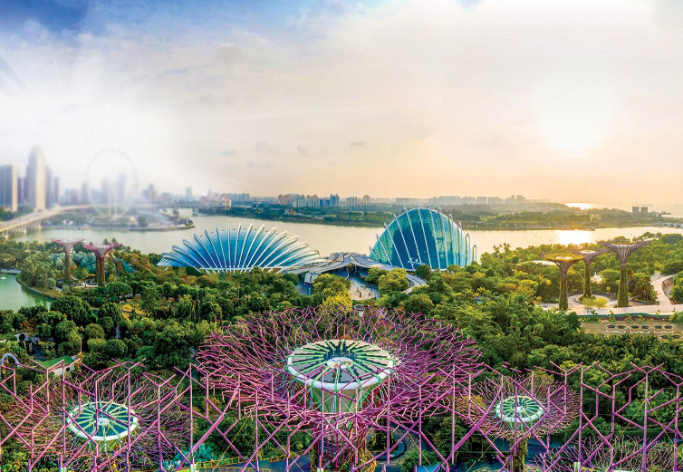 Singapore: Jewel Changi Airport + Singapore Flyer + Little India + Merlion Park (Customizable)