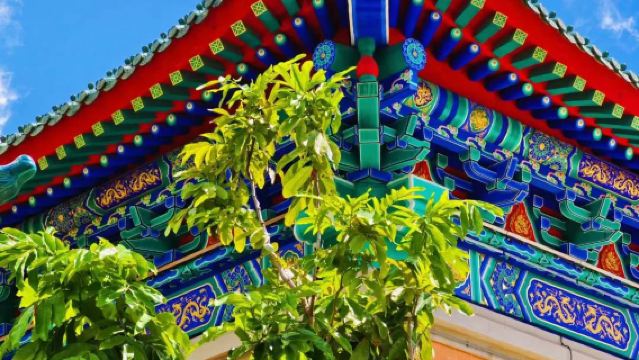 1-day tour to Sik Sik Yuen Wong Tai Sin Temple in Hong Kong (with private transfer, admission ticket not included)