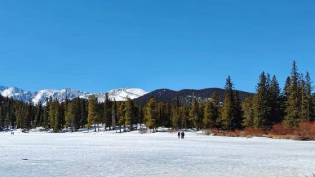 美國丹佛植物園+紅石公園及露天劇場+議會大廈【美西定制包車+中文司機】