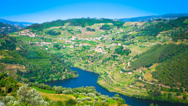 Portugal - Porto: Douro valley winery lunch tasting + valley cruise tour | English group
