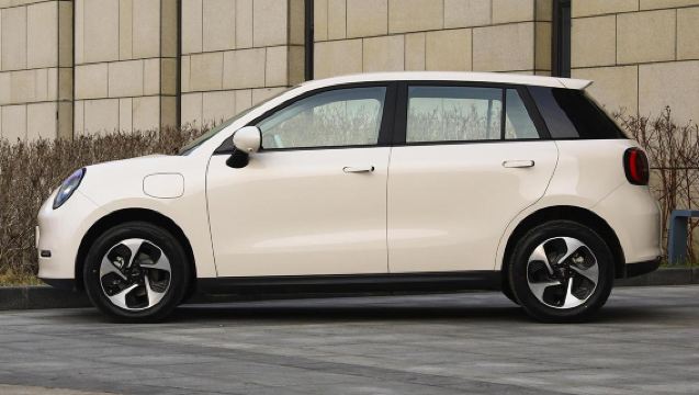 Guangdong private charter customize [Shenzhen, Zhuhai, Guangzhou, Foshan, Dongguan, Huizhou, Zhongshan, Jiangmen, Qingyuan, Chaoshan] for business meetings/day tours/family-friendly trips