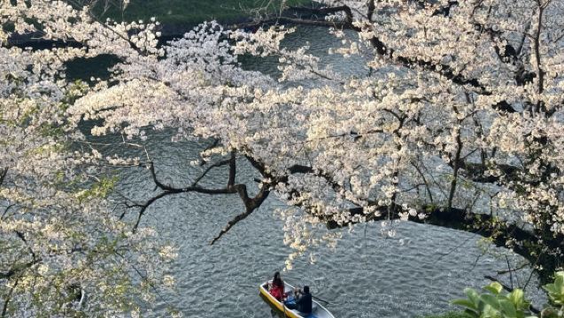 Lawatan Eksklusif Tokyo (Bangunan Kerajaan Tokyo/Suntory/Omote-Sando Ave/Daikanyama/Kitano-maru) Tidak Termasuk Tiket