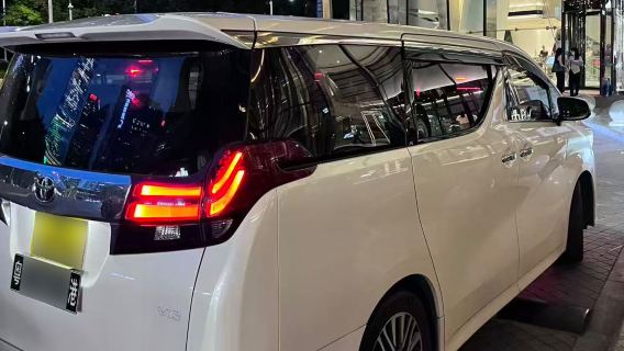 [Direkter Privattransfer zwischen Shenzhen und Hongkong] Privattransfer von Shenzhen zum Hongkong T1 Disneyland Hotel, Lantau Island, Big Buddha, New Territories, Sai Kung ◇ Reibungsloser Grenzübertritt + Transfer mit Van mit Kennzeichen beider Gebiete