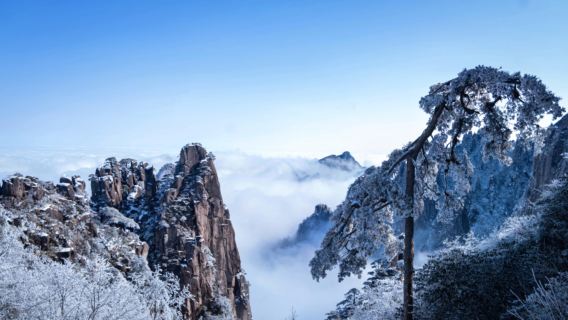 Huangshan & Ox-Shaped Hongcun Village Express Private Day Tour with Transfer