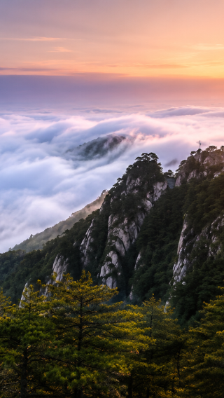 Multi-Location Pickup | Private 1-Day Charter Tour to Jiuhua Mountain | Entry Tickets & Shuttle Bus Service including | Solo Travelers Welcome
