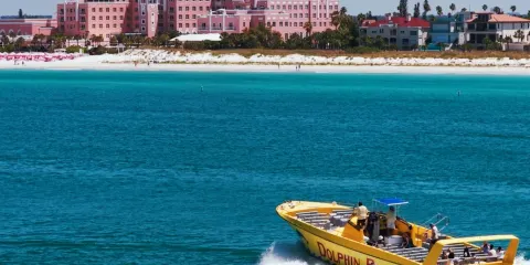 聖彼德斯堡海灘區:海豚競速快艇探險 (Dolphin Racer Speedboat Adventure)
