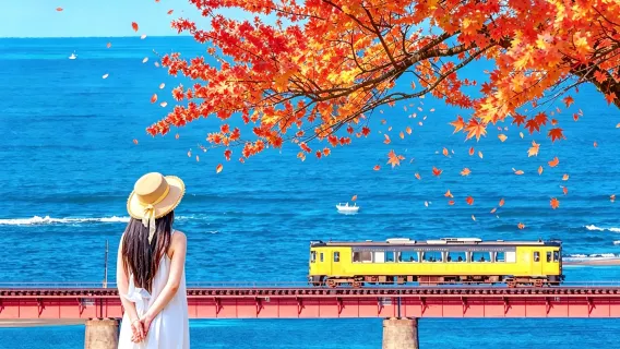 Lawatan Sehari Kereta Api Laut Kyoto Tango + Laut Kyoto + Ine, termasuk kos kereta api dan boleh termasuk bot