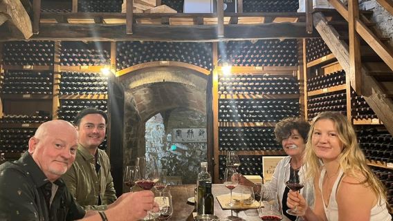 Firenze: Privat dagstur til Chianti-vinmarker i Toscana med frokost